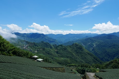 二人转孙小宝事件(二人转孙小宝事件揭秘：当时的情况是这样的)